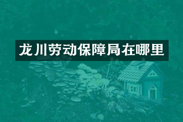 龙川劳动保障局在哪里