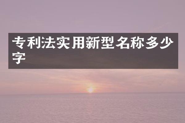 专利法实用新型名称多少字