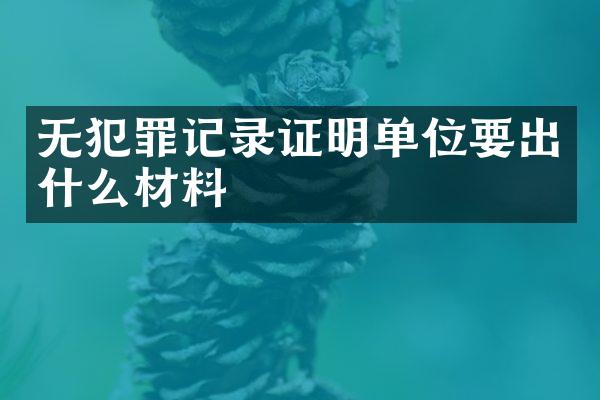 无犯罪记录证明单位要出什么材料