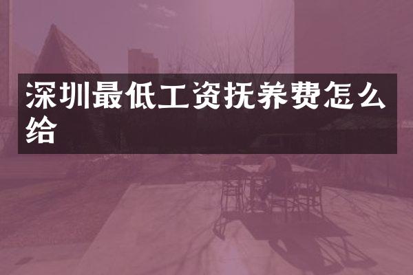 深圳最低工资抚养费怎么给