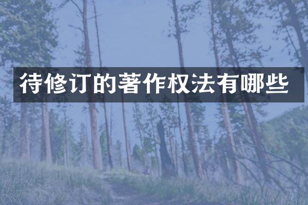 待修订的著作权法有哪些