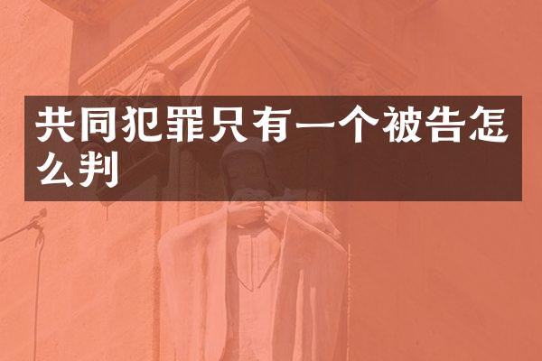 共同犯罪只有一个被告怎么判