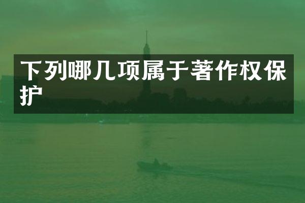 下列哪几项属于著作权保护