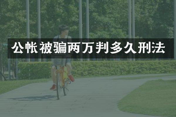 公帐被骗两万判多久刑法