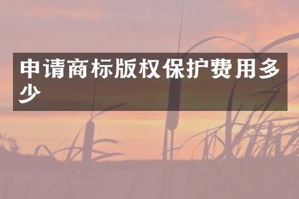 申请商标版权保护费用多少