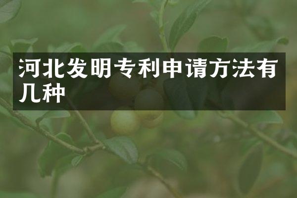 河北发明专利申请方法有几种