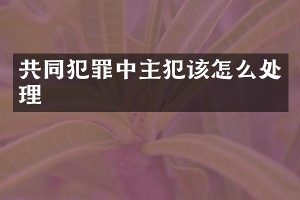 共同犯罪中主犯该怎么处理