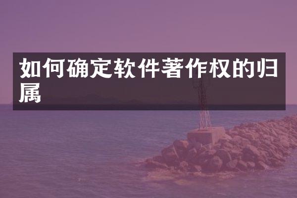 如何确定软件著作权的归属