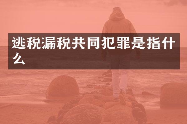 逃税漏税共同犯罪是指什么
