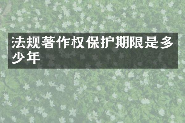 法规著作权保护期限是多少年