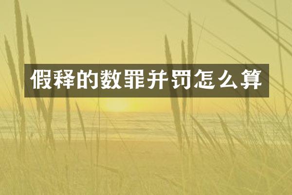 假释的数罪并罚怎么算