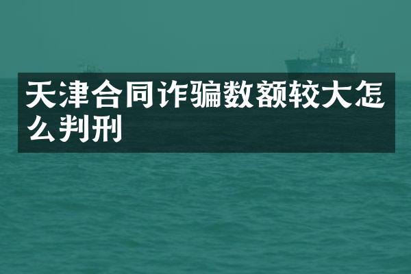 天津合同诈骗数额较大怎么判刑