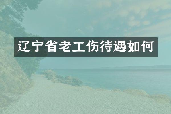 辽宁省老工伤待遇如何