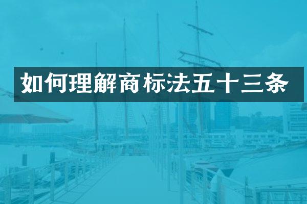 如何理解商标法五十三条