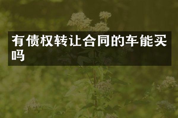 有债权转让合同的车能买吗