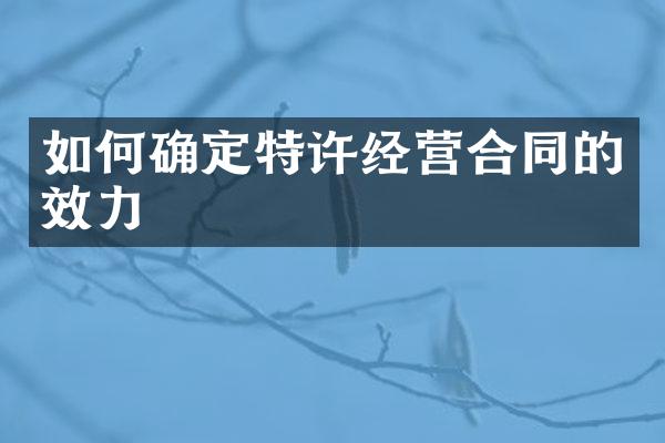 如何确定特许经营合同的效力