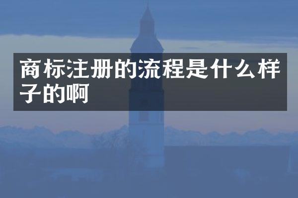 商标注册的流程是什么样子的啊
