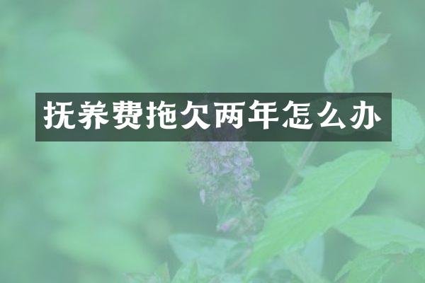 抚养费拖欠两年怎么办