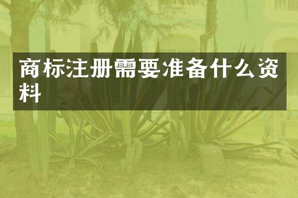 商标注册需要准备什么资料