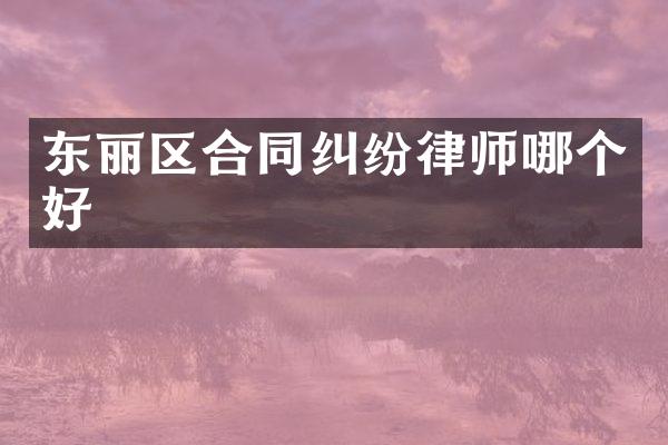 东丽区合同纠纷律师哪个好