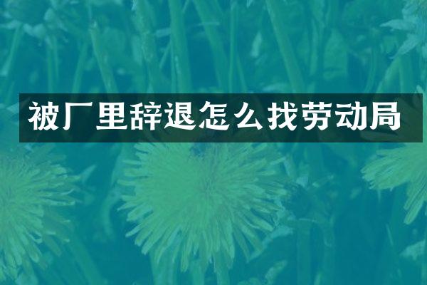 被厂里辞退怎么找劳动局