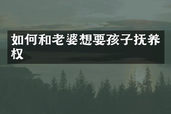 如何和老婆想要孩子抚养权