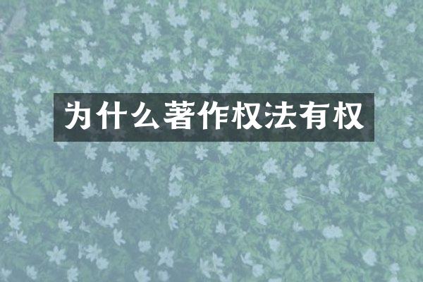 为什么著作权法有权