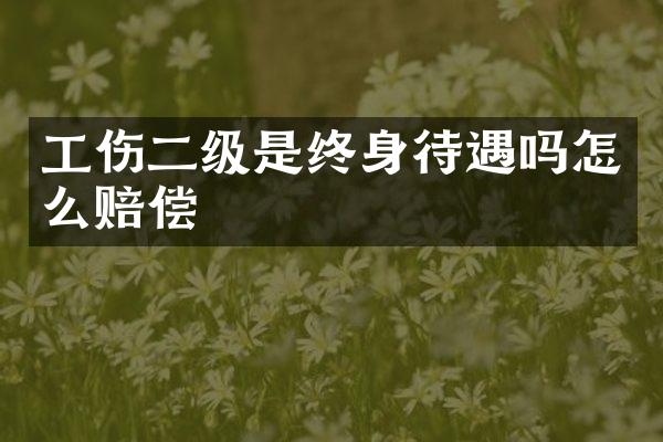 工伤二级是终身待遇吗怎么赔偿