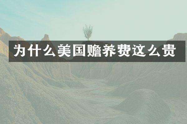 为什么美国赡养费这么贵