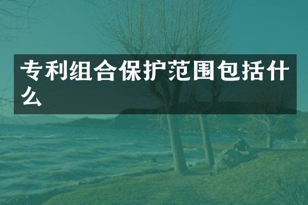 专利组合保护范围包括什么