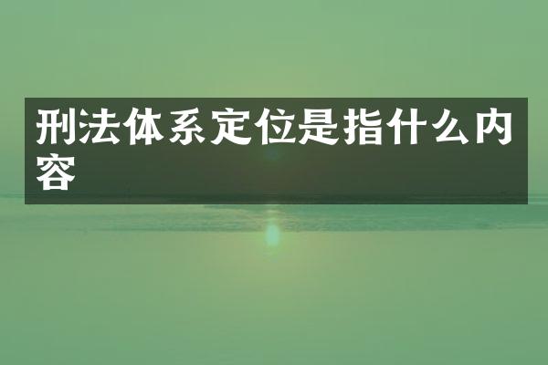 刑法体系定位是指什么内容