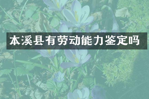 本溪县有劳动能力鉴定吗