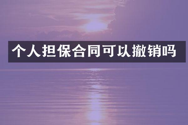 个人担保合同可以撤销吗