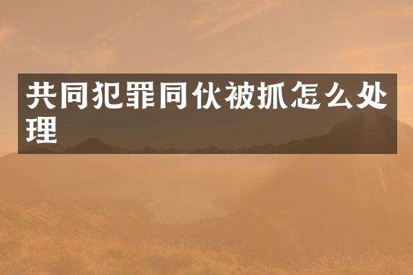 共同犯罪同伙被抓怎么处理