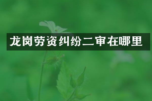 龙岗劳资纠纷二审在哪里