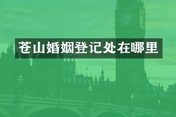 苍山婚姻登记处在哪里