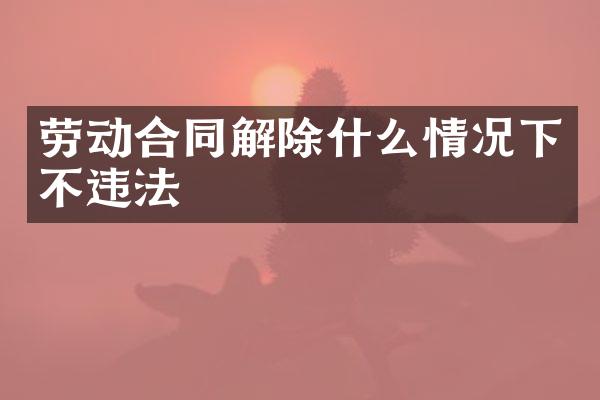 劳动合同解除什么情况下不违法