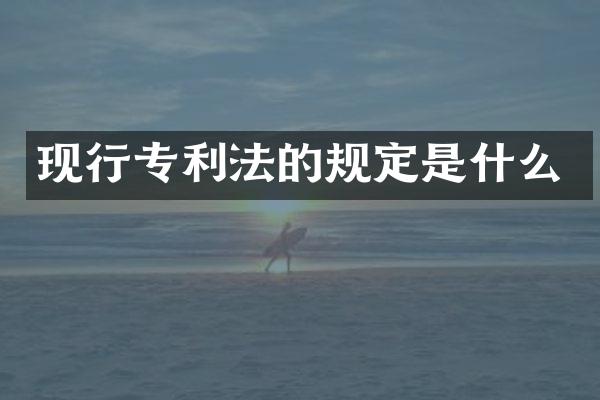现行专利法的规定是什么