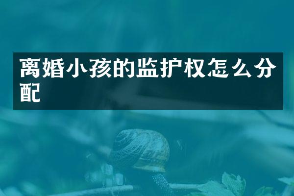 离婚小孩的监护权怎么分配