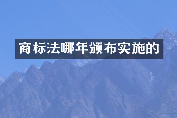 商标法哪年颁布实施的