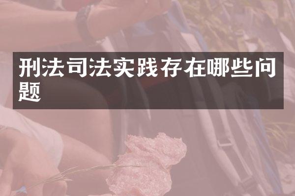 刑法司法实践存在哪些问题