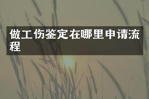 做工伤鉴定在哪里申请流程