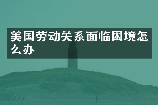 美国劳动关系面临困境怎么办