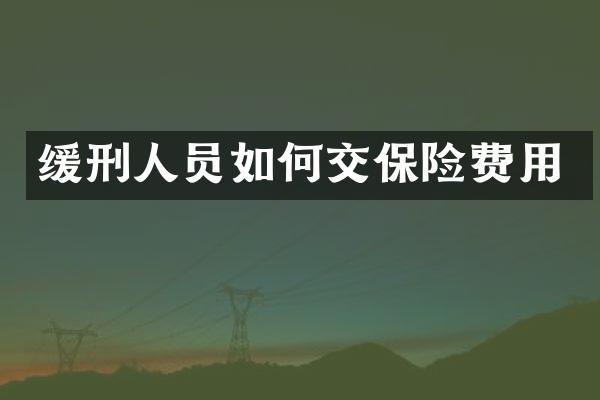 缓刑人员如何交保险费用