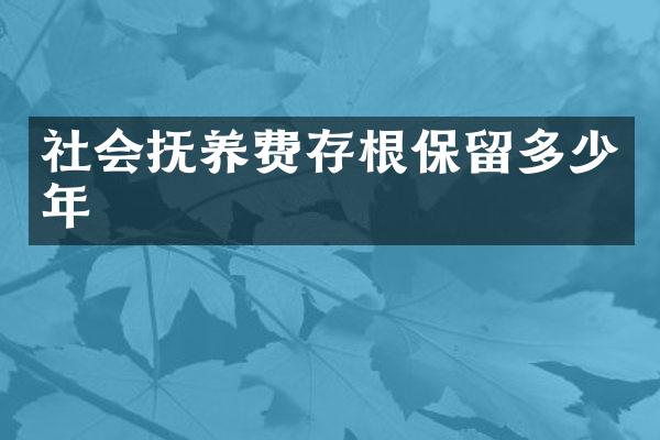 社会抚养费存根保留多少年