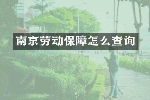 南京劳动保障怎么查询