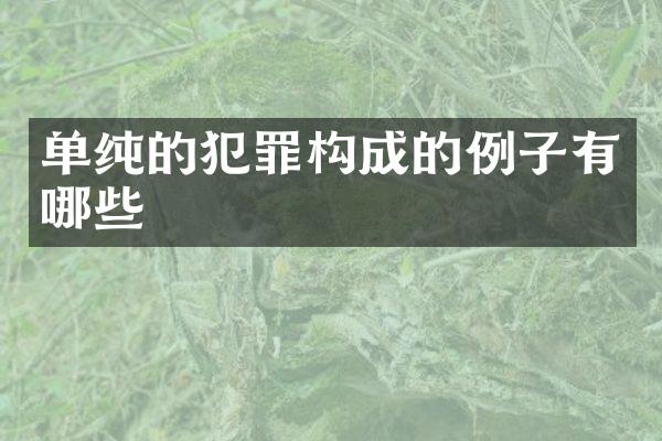 单纯的犯罪构成的例子有哪些