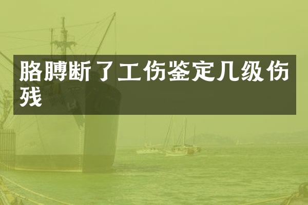 胳膊断了工伤鉴定几级伤残