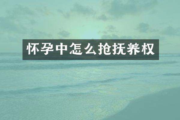 怀孕中怎么抢抚养权