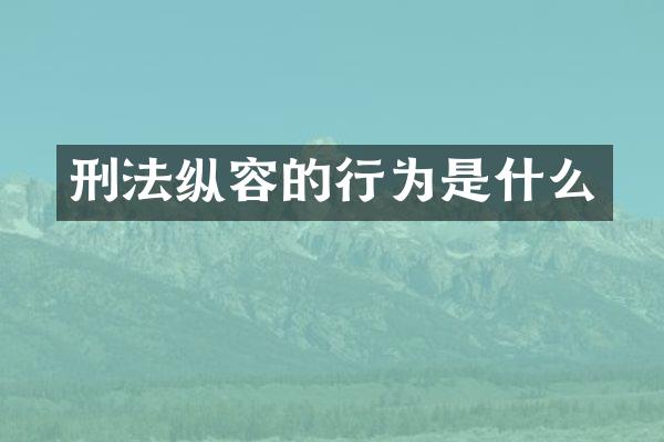 刑法纵容的行为是什么